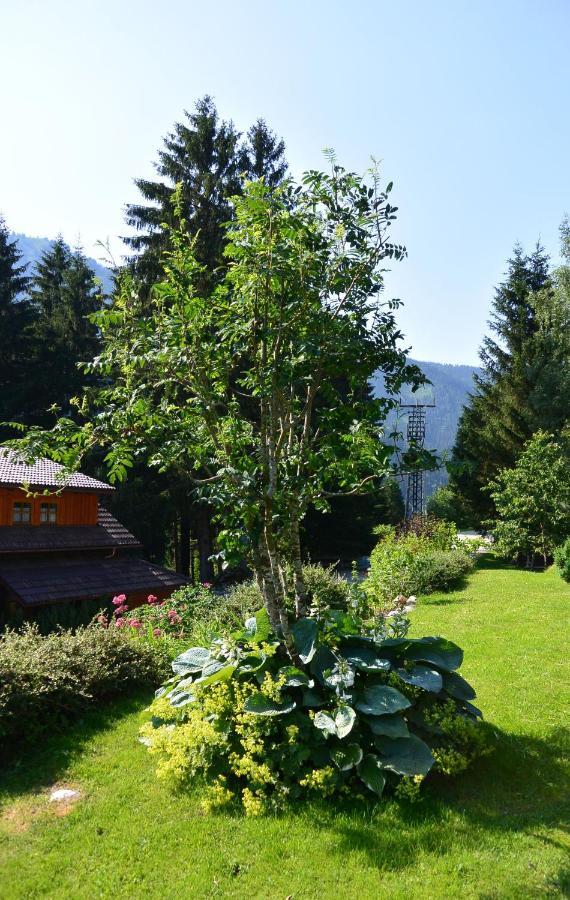 Die Kalsbergerin Ferienwohnung Fuer Geniesser Donnersbachwald Exteriör bild
